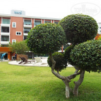 фото из отзыва ID 1548401