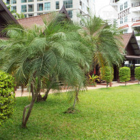 фото из отзыва ID 1548401