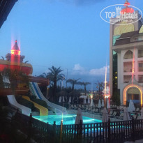 фото из отзыва ID 1548468