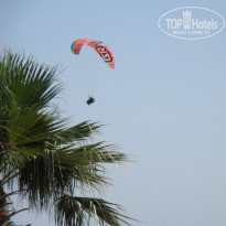 фото из отзыва ID 1548501