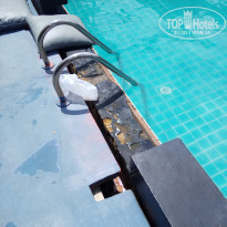 фото из отзыва ID 1548632