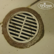 фото из отзыва ID 1548638