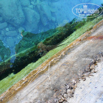 фото из отзыва ID 1548641