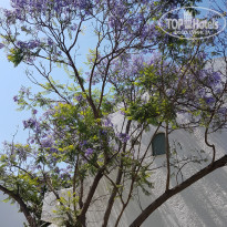 фото из отзыва ID 1548836