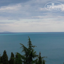 фото из отзыва ID 1548894