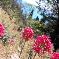 фото из отзыва ID 1548894