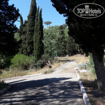 фото из отзыва ID 1548894