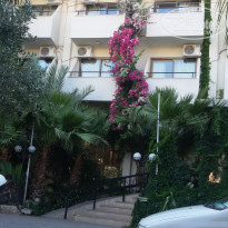 фото из отзыва ID 1548956