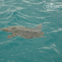 фото из отзыва ID 1549031