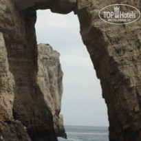 фото из отзыва ID 1549031