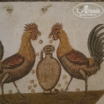 фото из отзыва ID 1549065