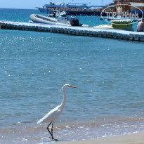 фото из отзыва ID 1549119