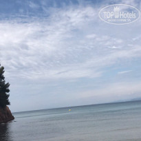 фото из отзыва ID 1549216