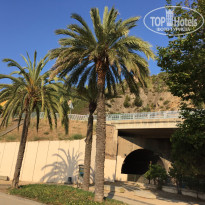 фото из отзыва ID 1549233