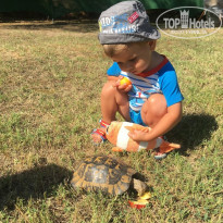 фото из отзыва ID 1549328