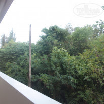 фото из отзыва ID 1549396