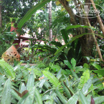 фото из отзыва ID 1549516