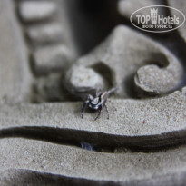 фото из отзыва ID 1549516