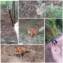 фото из отзыва ID 1549496