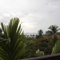 фото из отзыва ID 1549534