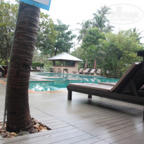 фото из отзыва ID 1549534