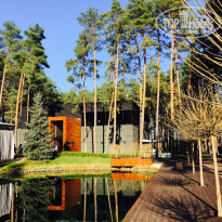 фото из отзыва ID 1549547