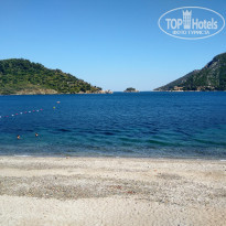 фото из отзыва ID 1549602