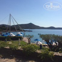 фото из отзыва ID 1549628