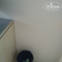 фото из отзыва ID 1548144