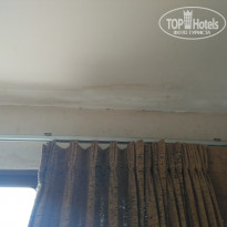 фото из отзыва ID 1548144