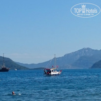 фото из отзыва ID 1541315