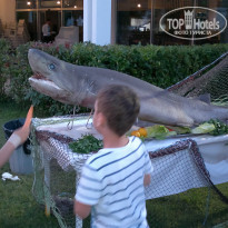 фото из отзыва ID 1540222