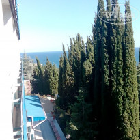 фото из отзыва ID 1543334