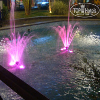 фото из отзыва ID 1541802