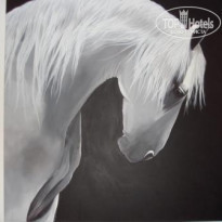 фото из отзыва ID 155037