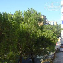 фото из отзыва ID 155127