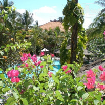 фото из отзыва ID 155422