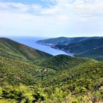 фото из отзыва ID 1550020