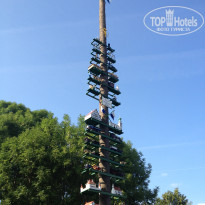 фото из отзыва ID 1550109