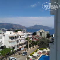 фото из отзыва ID 1550116