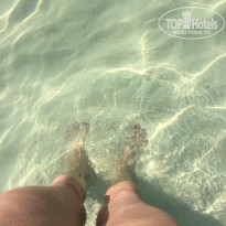 фото из отзыва ID 1550168