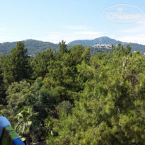 фото из отзыва ID 1550194