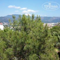 фото из отзыва ID 1550194