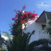 фото из отзыва ID 1550225