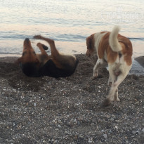 фото из отзыва ID 1550225