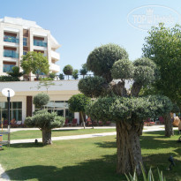 фото из отзыва ID 1550299