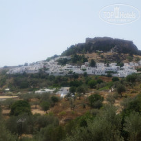 фото из отзыва ID 1550338