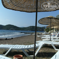 фото из отзыва ID 1550340