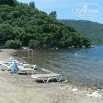 фото из отзыва ID 1550340