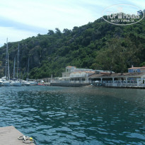 фото из отзыва ID 1550340